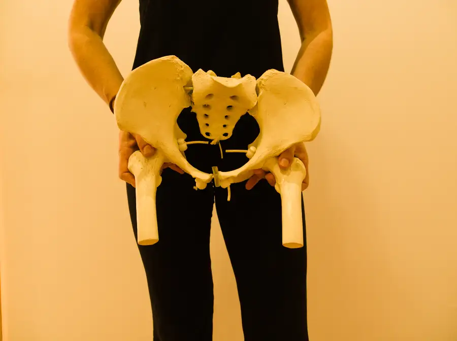 Fisioterapeuta mostrando replica ósea de cadera en Be Postural