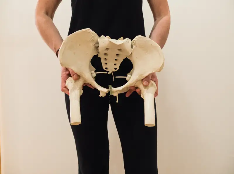Fisioterapeuta mostrando replica ósea de cadera en Be Postural